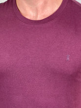 Carregar imagem no visualizador da galeria, Camiseta SK Básica - Bordado - Bordo