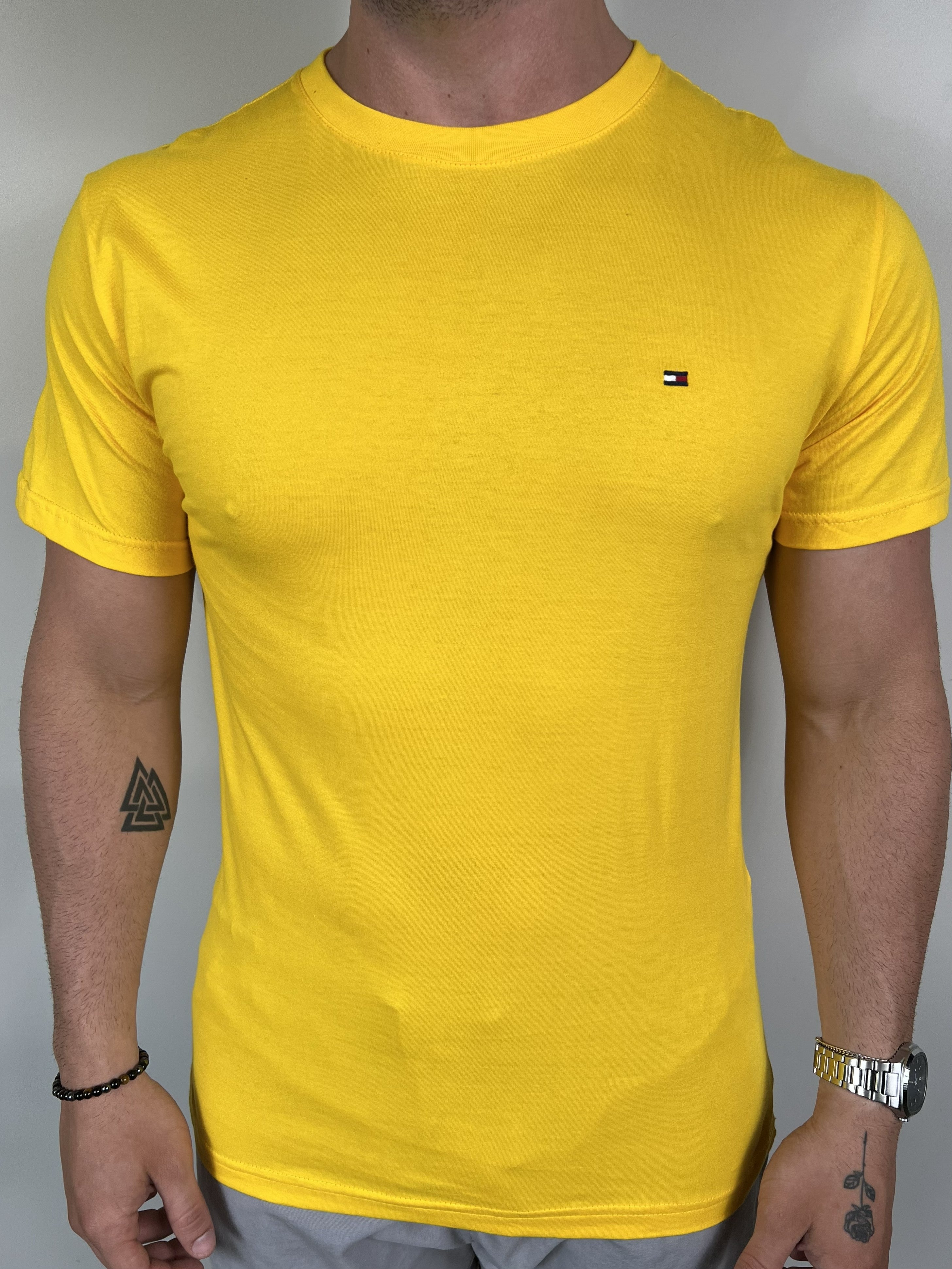 Camiseta Tommy Básica