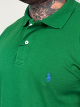Carregar imagem no visualizador da galeria, Gola Polo Rl Tradicional - V. Bandeira
